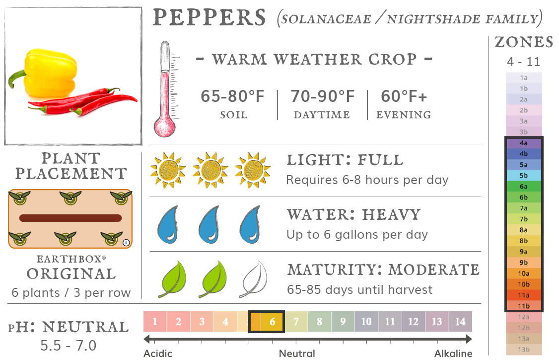 Peppers are a warm weather crop best grown in zones 4 to 11. They require 6-8 hours sun per day, up to 6 gallons of water per day, and take 65-85 days until harvest. Place 6 plants, 3 per row, in an EarthBox Original