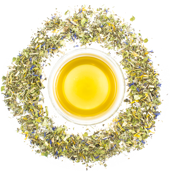 Bio Moringa Tee Mint