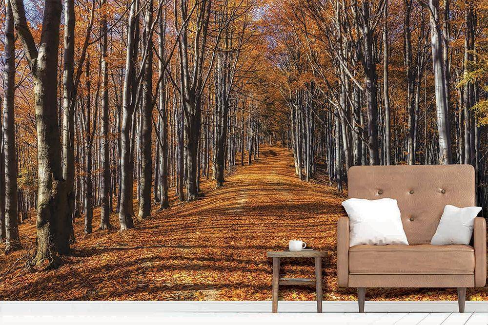 papier peint panoramique balade d'automne