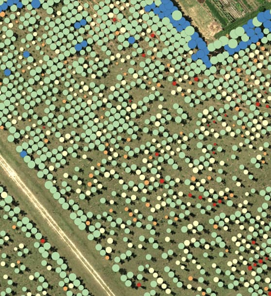 Powerful AI capabilities