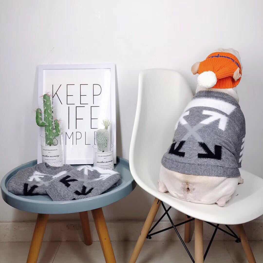 designer clothes for dogs
