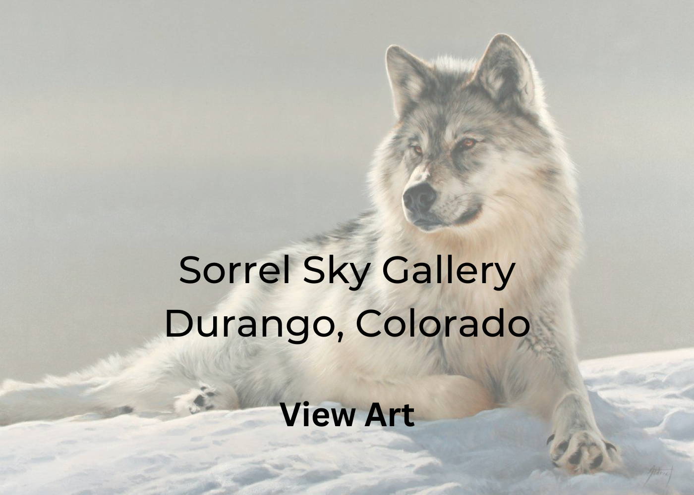 David Yarrow. Sorrel Sky Gallery. Western Art. Native American Art. Native American Jewelry. 
