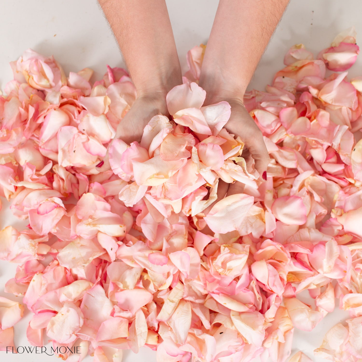 rose petals