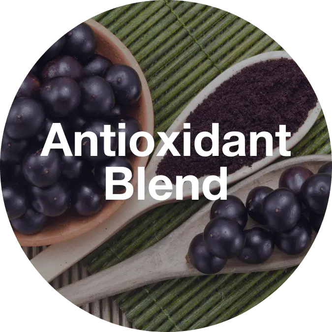 antioxidant blend