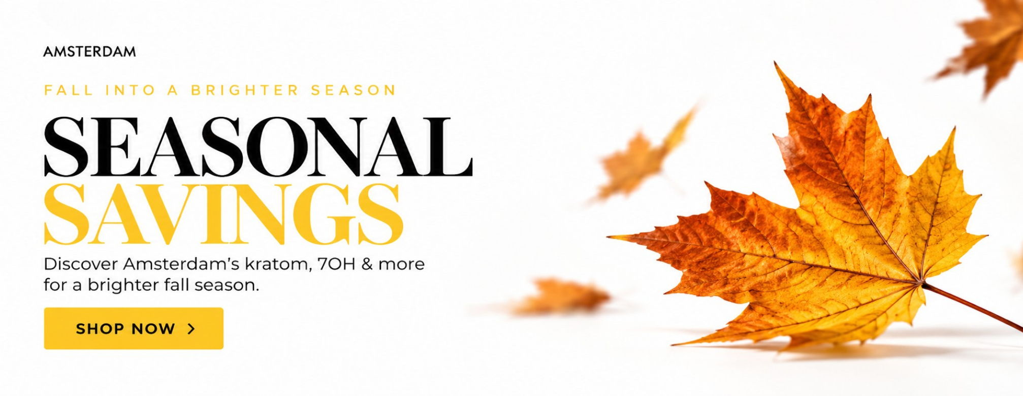 Seasonal savings with autumn leaves and promotional text.