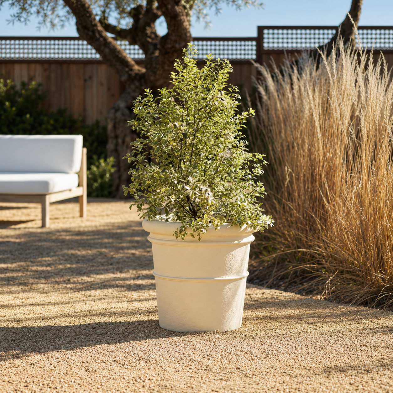 Banded fiberstone planter with green bush with a bench in background.