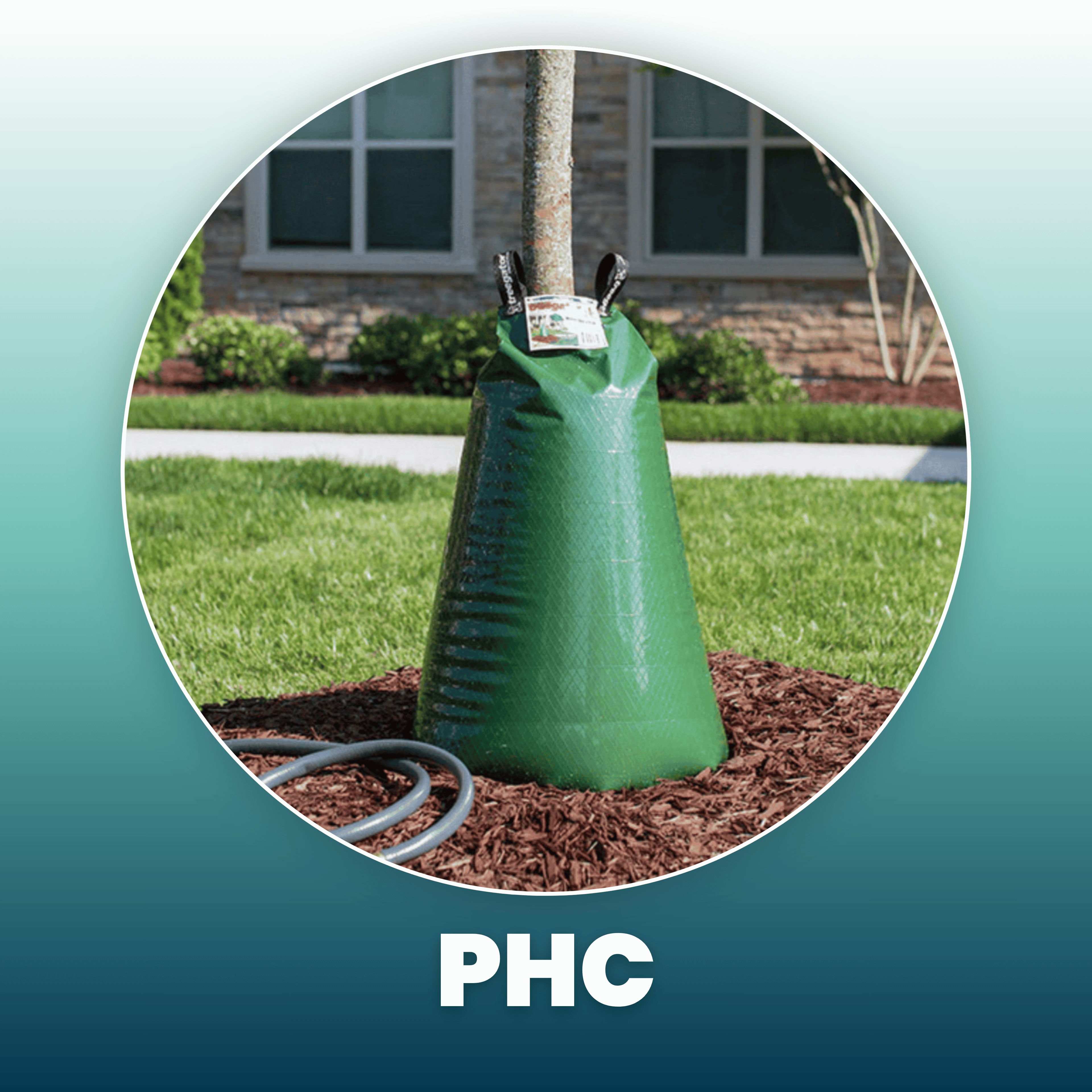 Green watering bag for tree irrigation with hose attachment.
