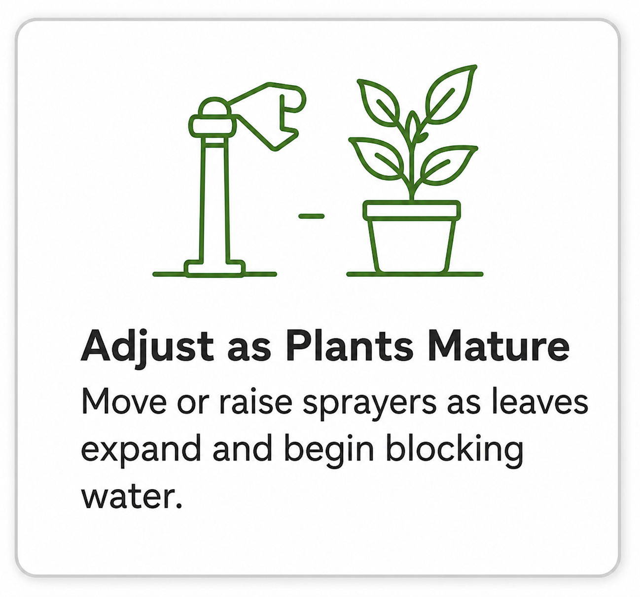 Adjust sprayers as plants grow to ensure proper watering.