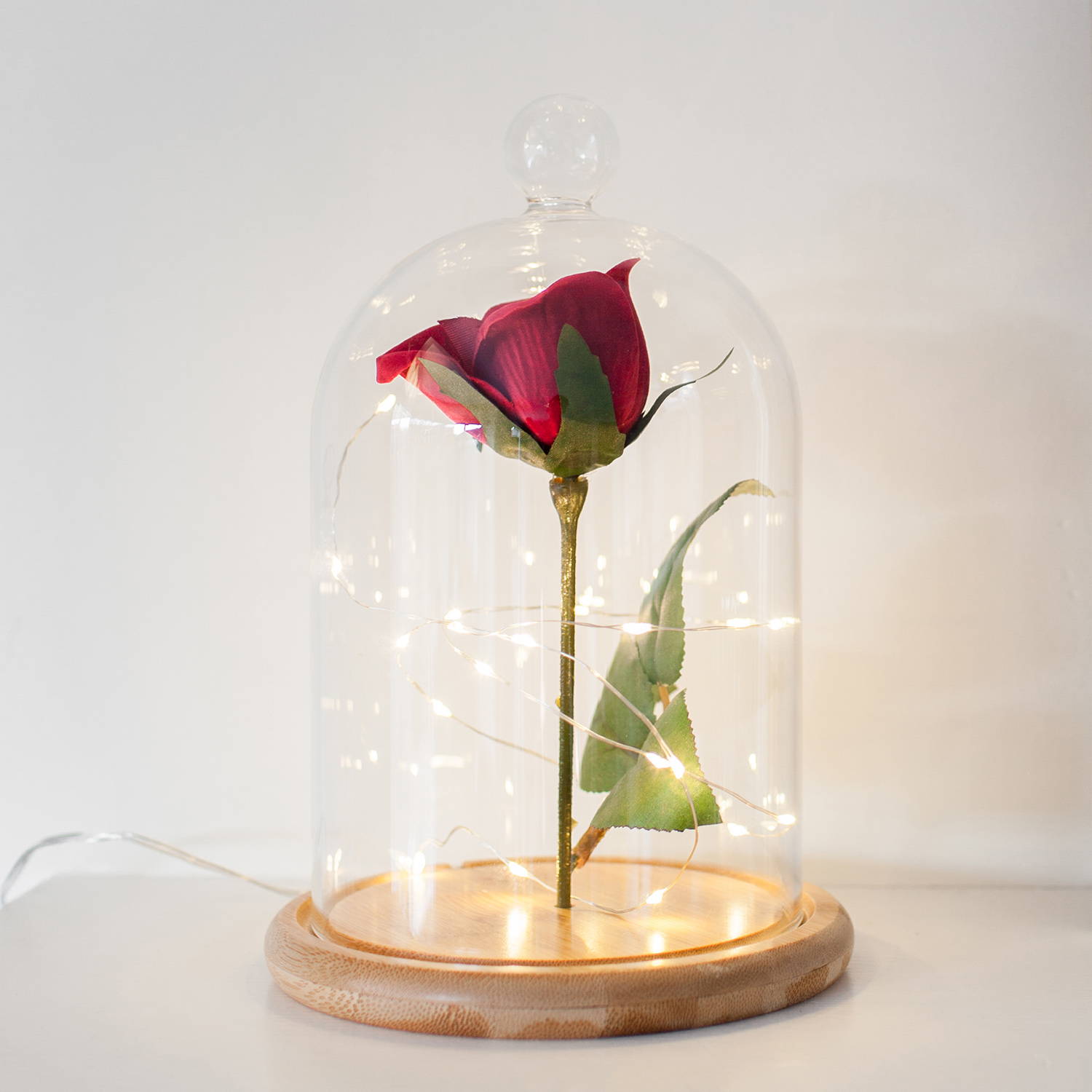 Rose displayed within glass dome with micro lights 