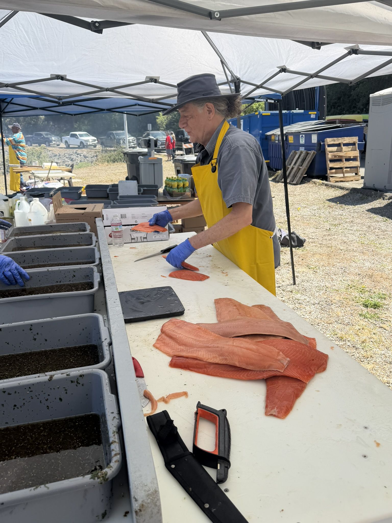 Salmon portioning
