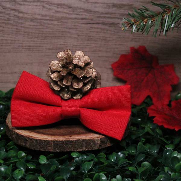 A red matte bow tie photographed with pinecones and other woodland props