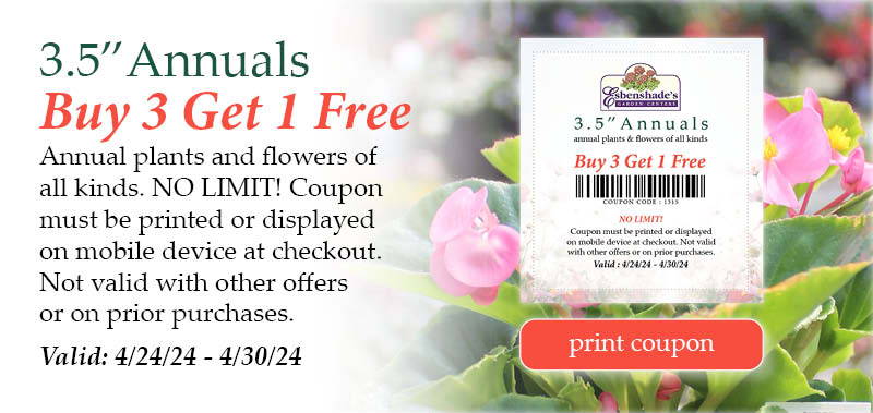 3.5-inch Annuals Coupon - Buy 3 Get 1 Free! Annual plants and flowers of all kinds. NO LIMIT! Coupon must be printed or displayed on mobile device at checkout. Not valid with other offers or on prior purchases. | Valid: April 24, 2024 through April 30, 2024 | Print coupon