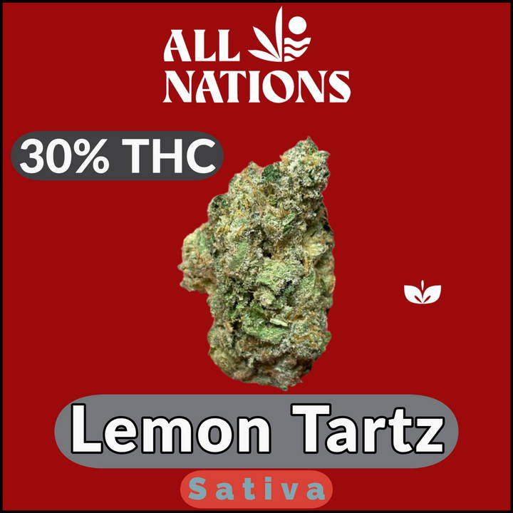 Lemon Tartz by All Nations | Jupiter Cannabis  Winnipeg