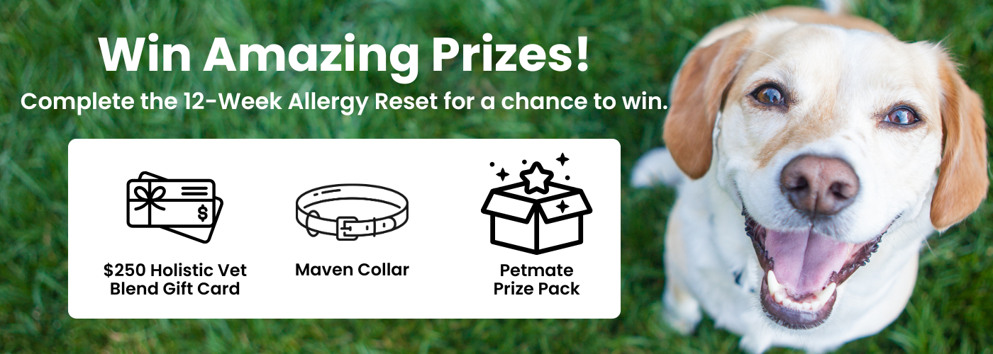 Dog in the grass with text promoting the allergy reset competition and prizes