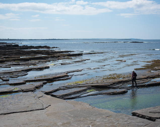 Hand-harvesting sea moss on the Irish coastline