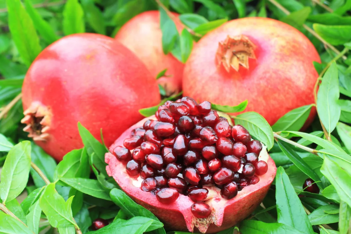 Open pomegranate displaying glossy ruby-red arils surrounded by whole pomegranates and lush green foliage, a drought-tolerant fruit tree for Arizona edible landscapes.