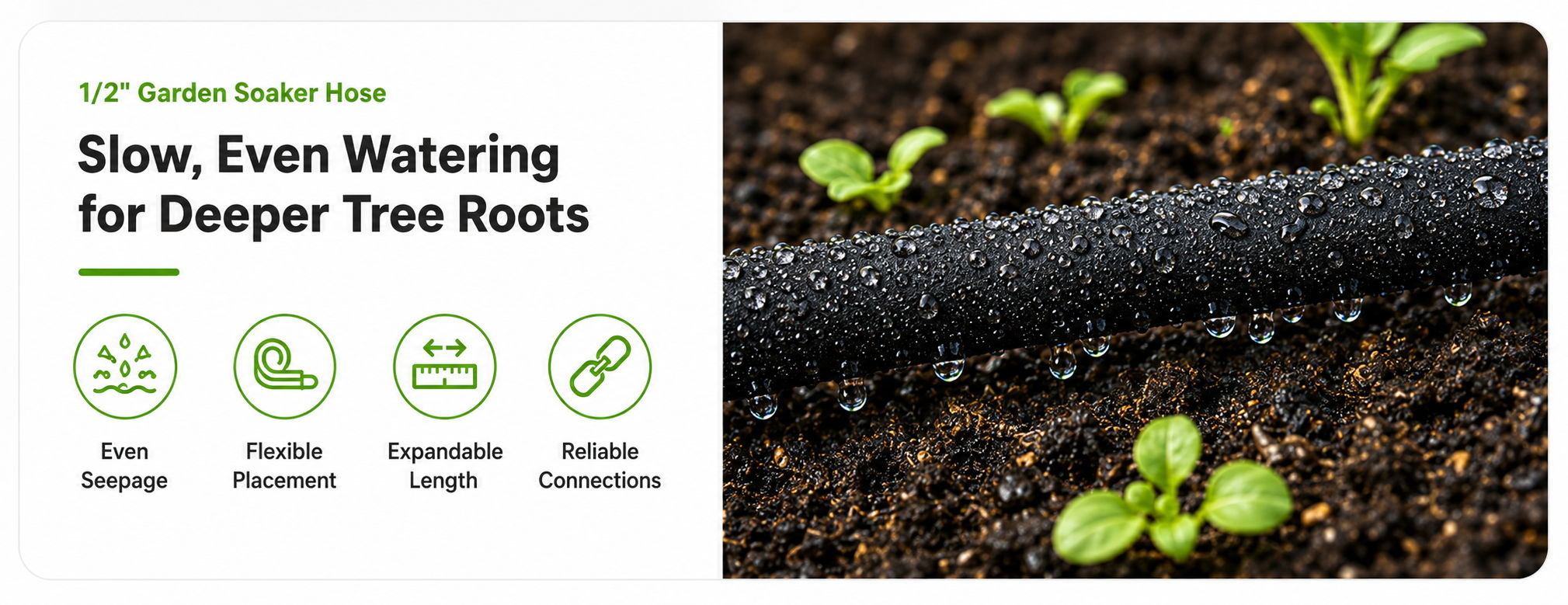 Slow, even watering for deeper tree roots with seedlings and drip irrigation.