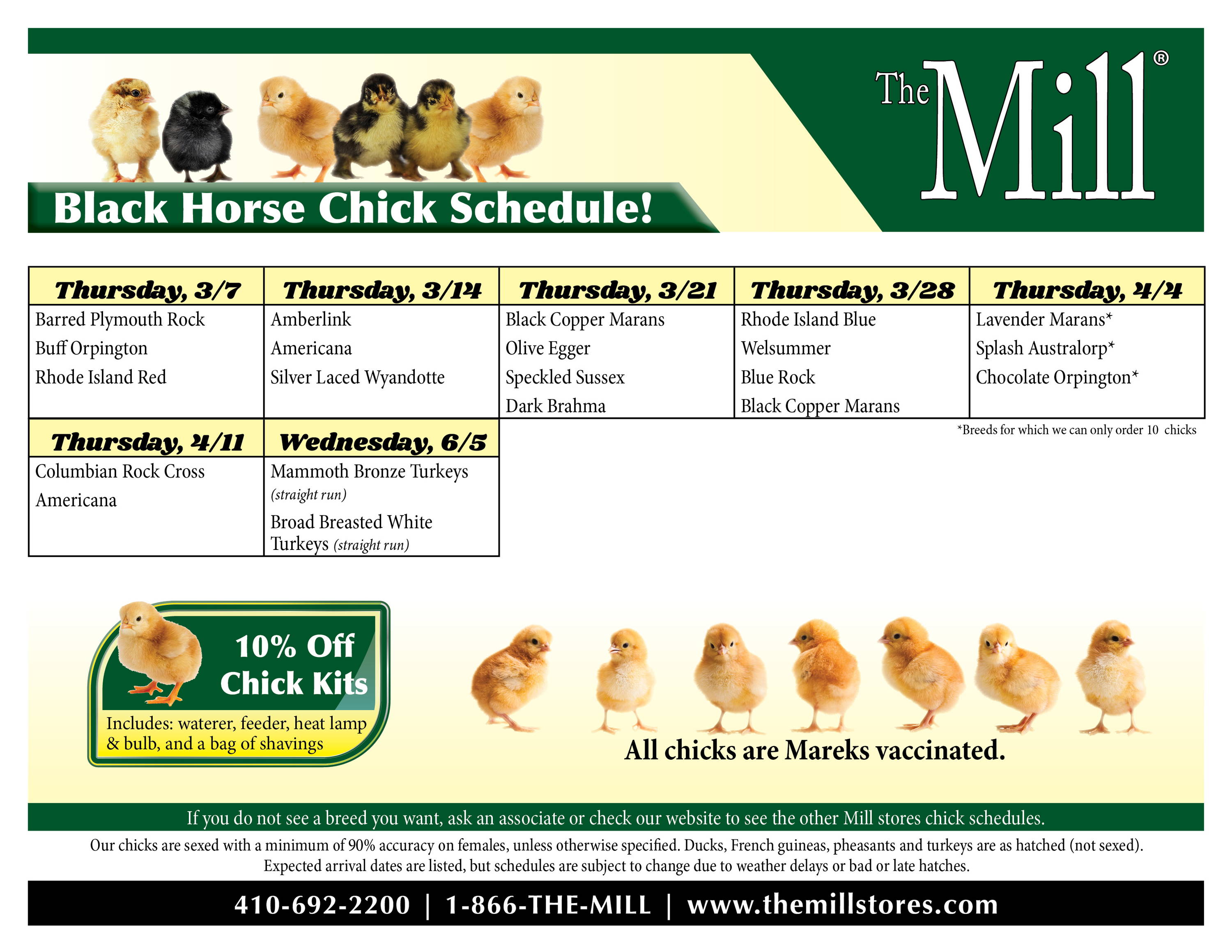 The Mill of Black Horse chick schedule 2024