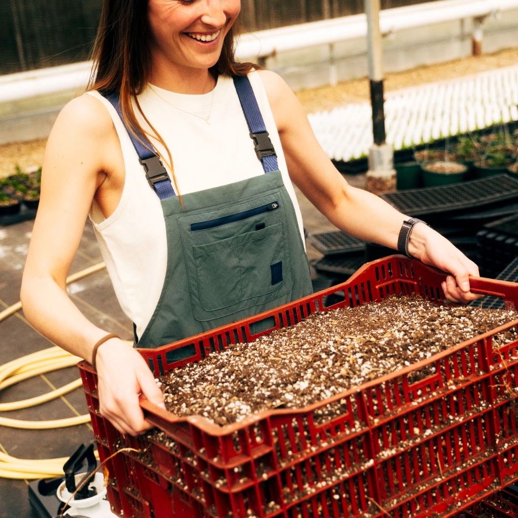 Woman in overalls joyfully carrying a crate of soil or seedlings in a greenhouse.