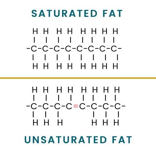 Saturated Fat, UnSaturated Fat,What is in my Dog Food? Healthy Dog Food, Cold Pressed Dog Food, Dog Food, Grain Free Dog Food, Hypoallergenic Dog Food.