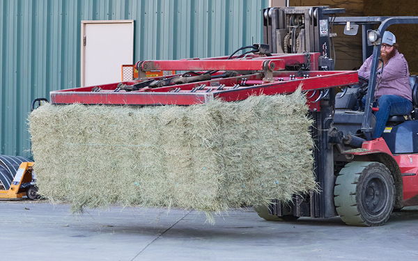 Forklift carrying large hay bales outside a warehouse.
