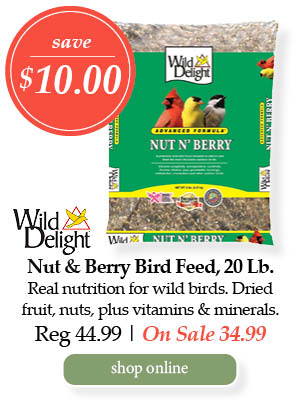 Wild Delight Nut and Berry Bird Feed, 20-pound bag - Save $10.00! Real nutrition for wild birds. Dried fruit, nuts, plus vitamins & minerals. | Regular price $44.99. On Sale $34.99. | Shop Online