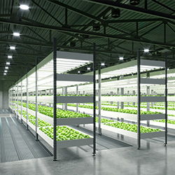 Lighting Solutions