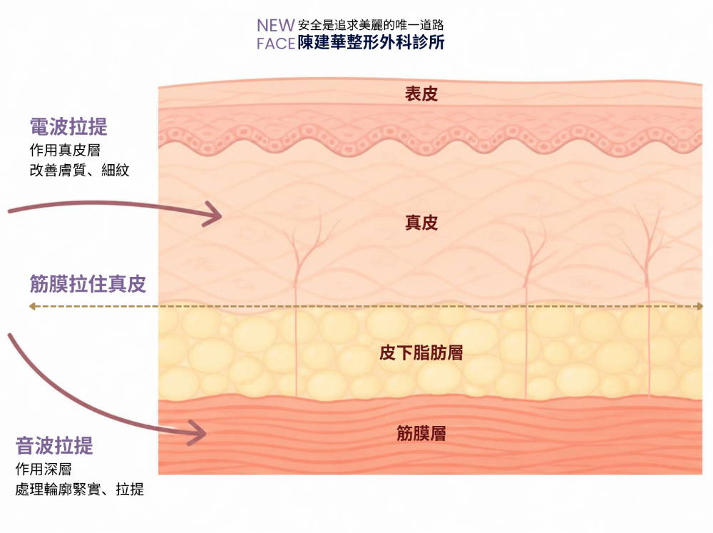 Diagram illustrating skin layers and their functions.