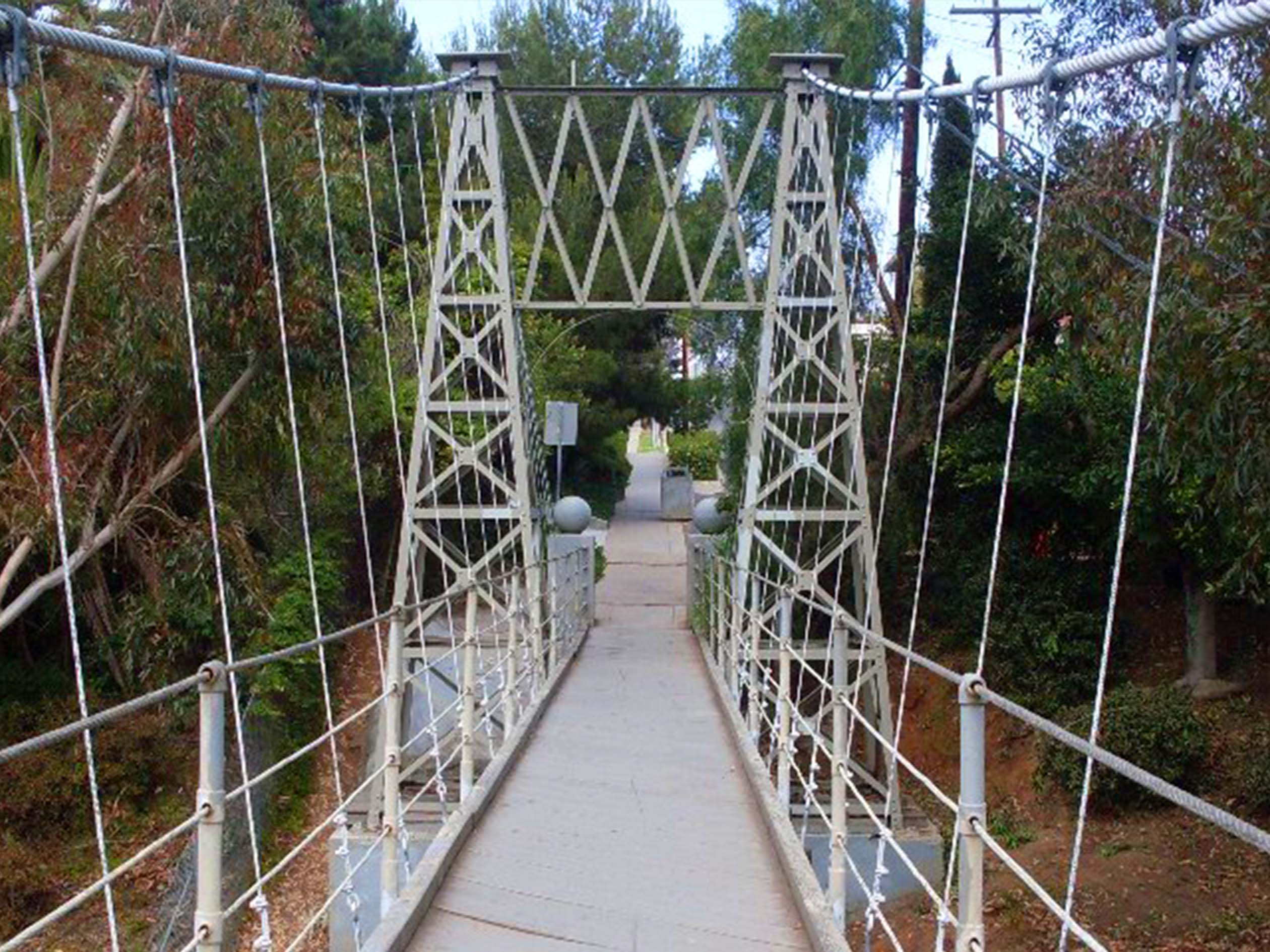 A photo from the middle of spruce street suspension bridge looking forward down the rest of the bridge, with trees on either side.