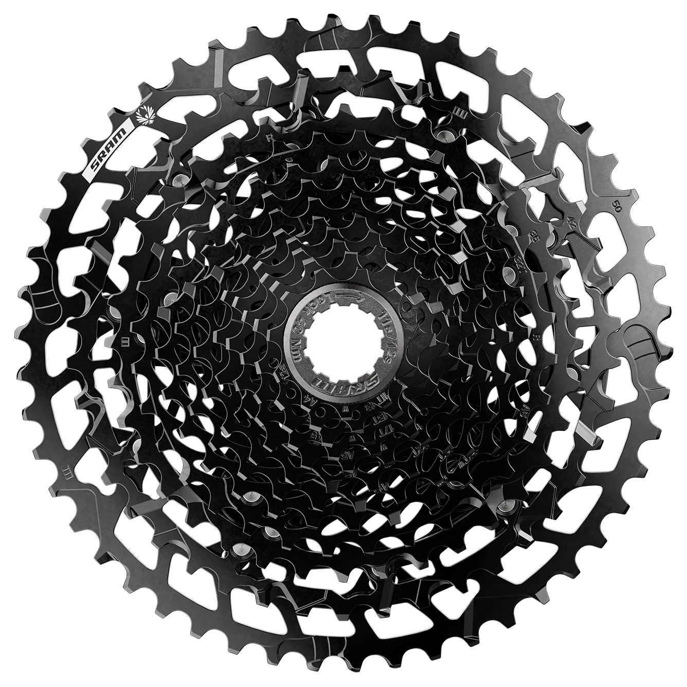 Black bicycle cassette viewed from above, featuring multiple interlocking gears.