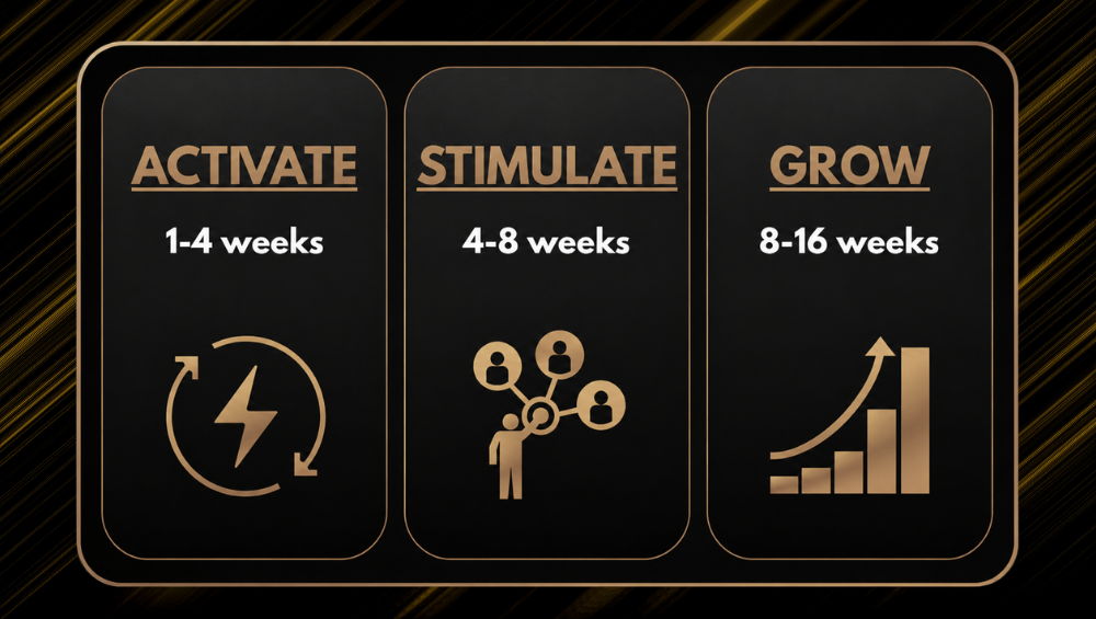 Three stages: Activate, Stimulate, Grow with corresponding timeframes.