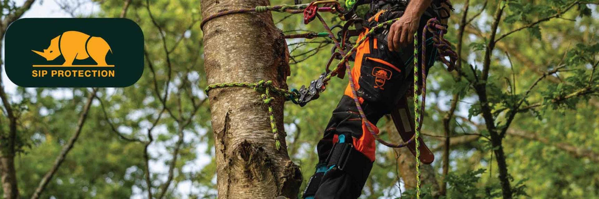 Person climbing a tree with safety gear and ropes.