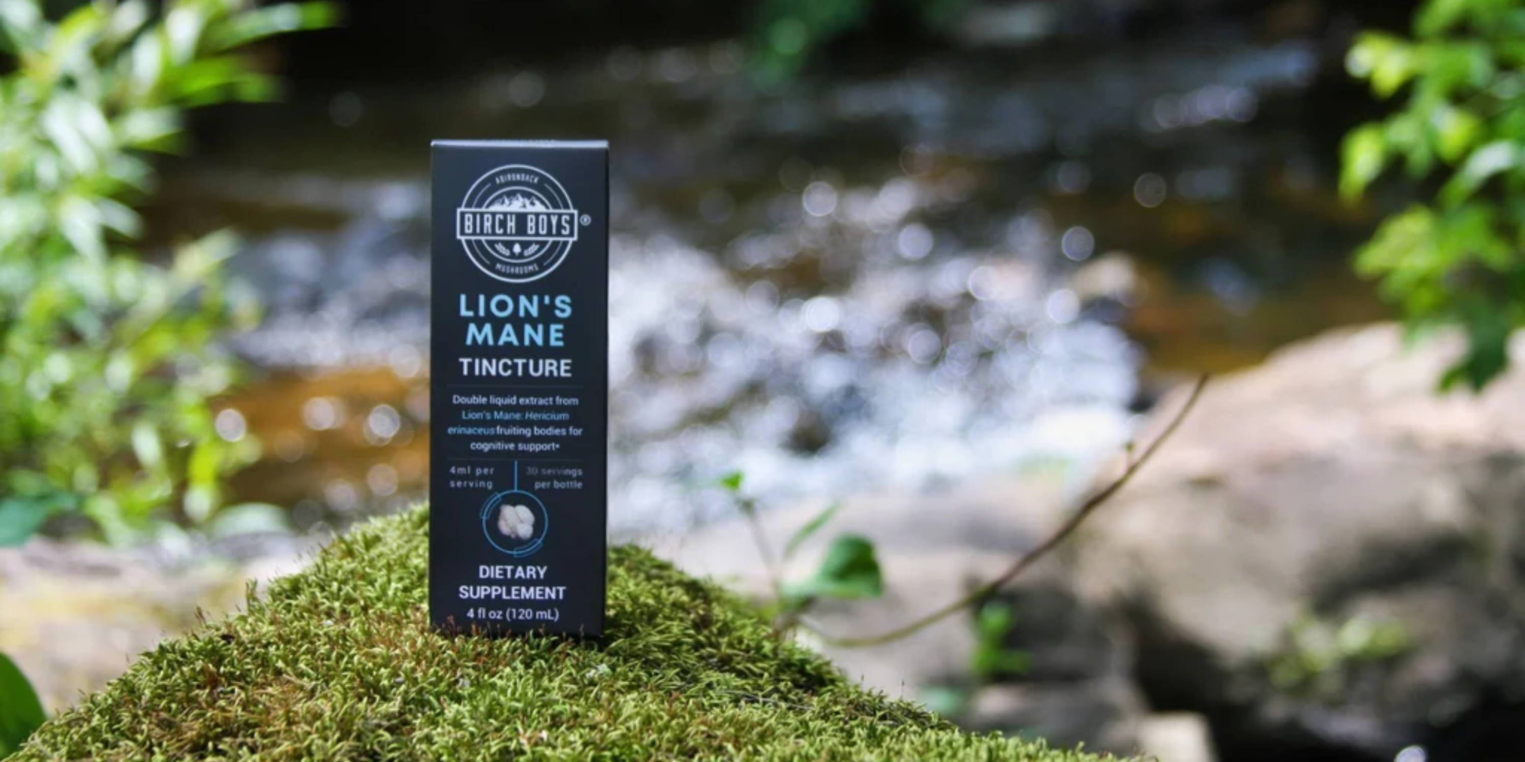 Birch Boys Lion's Mane Double Extract Tincture on a mossy rock in front of a flowing creek