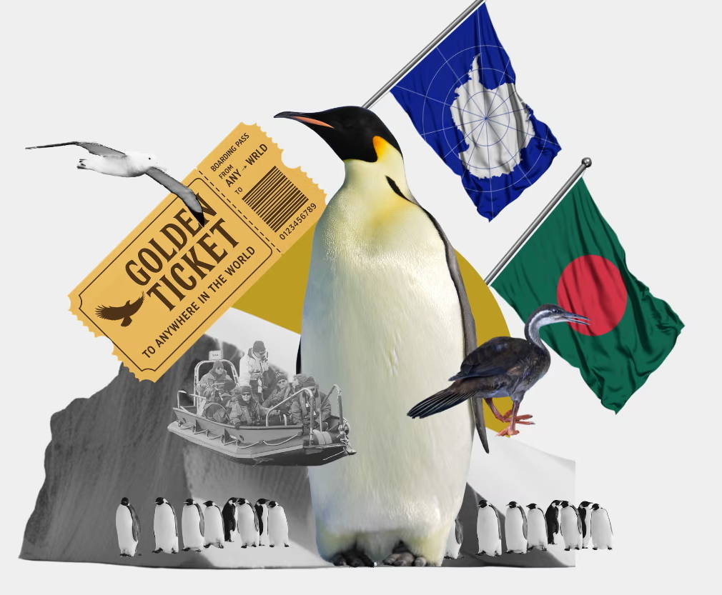 Emperor Penguin in Antarctica 