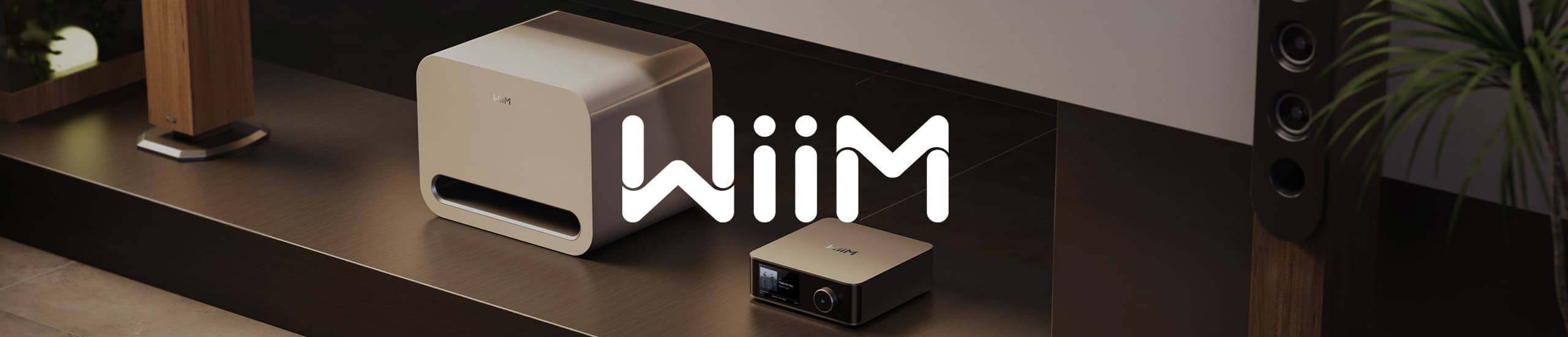 Wiim logo displayed on a modern home decor setting.