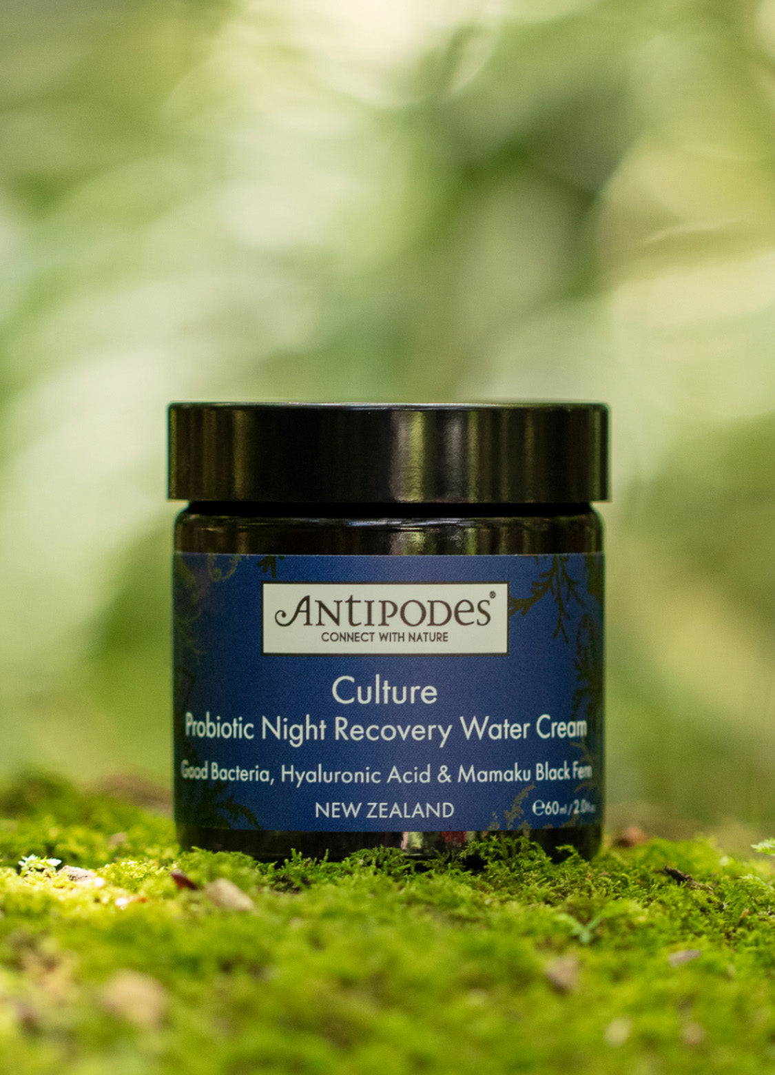 Culture Probiotic Night Recovery Water Cream sitting in nature.