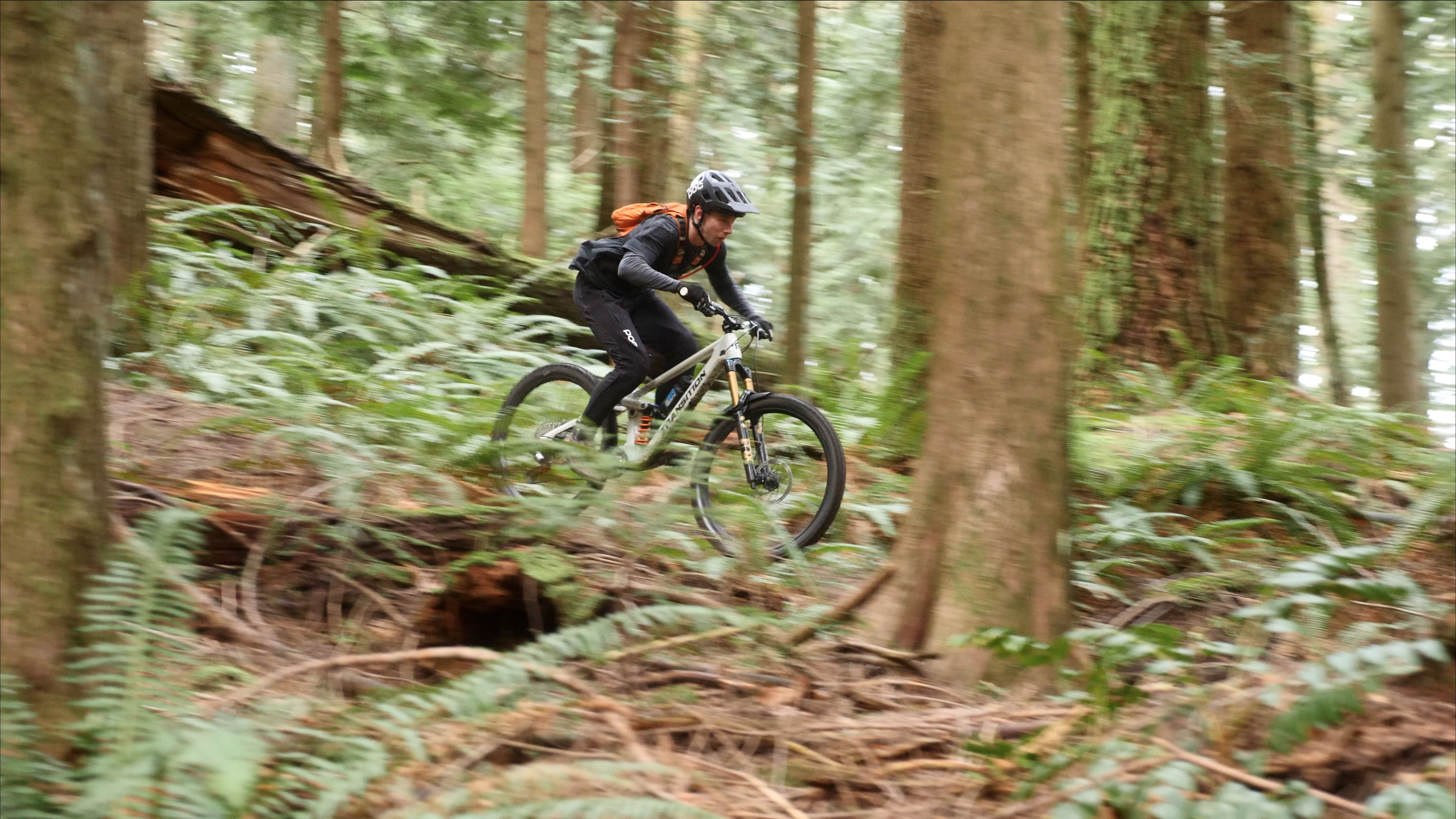 Mountain biker navigating through a forest trail with trees and ferns.
