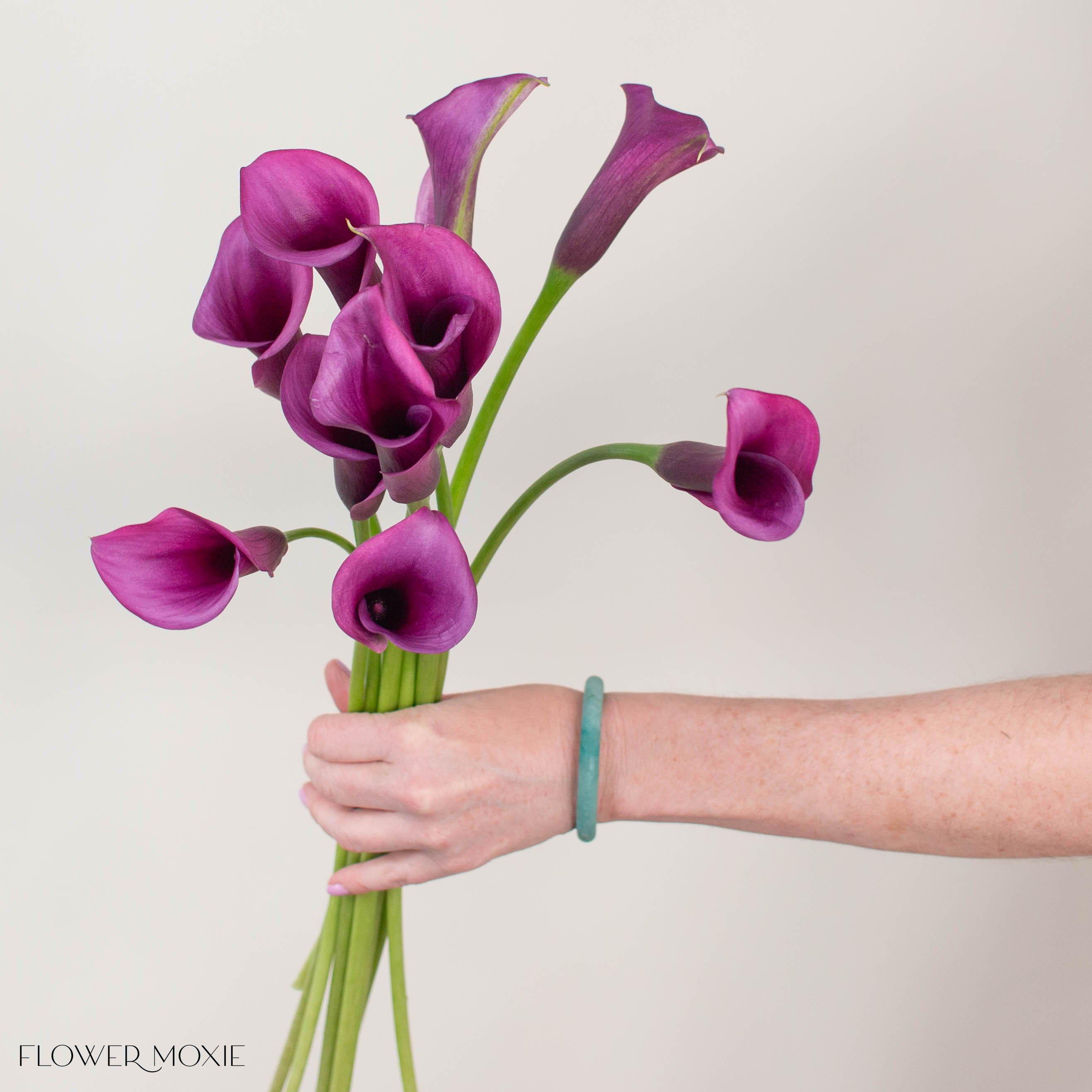 Purple Mini Calla Lillies