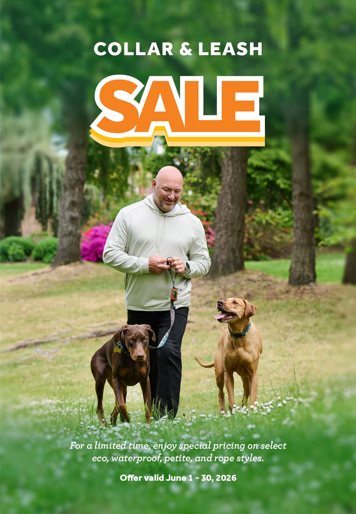 RC Pets - Summer Sale for Collars & Leashes