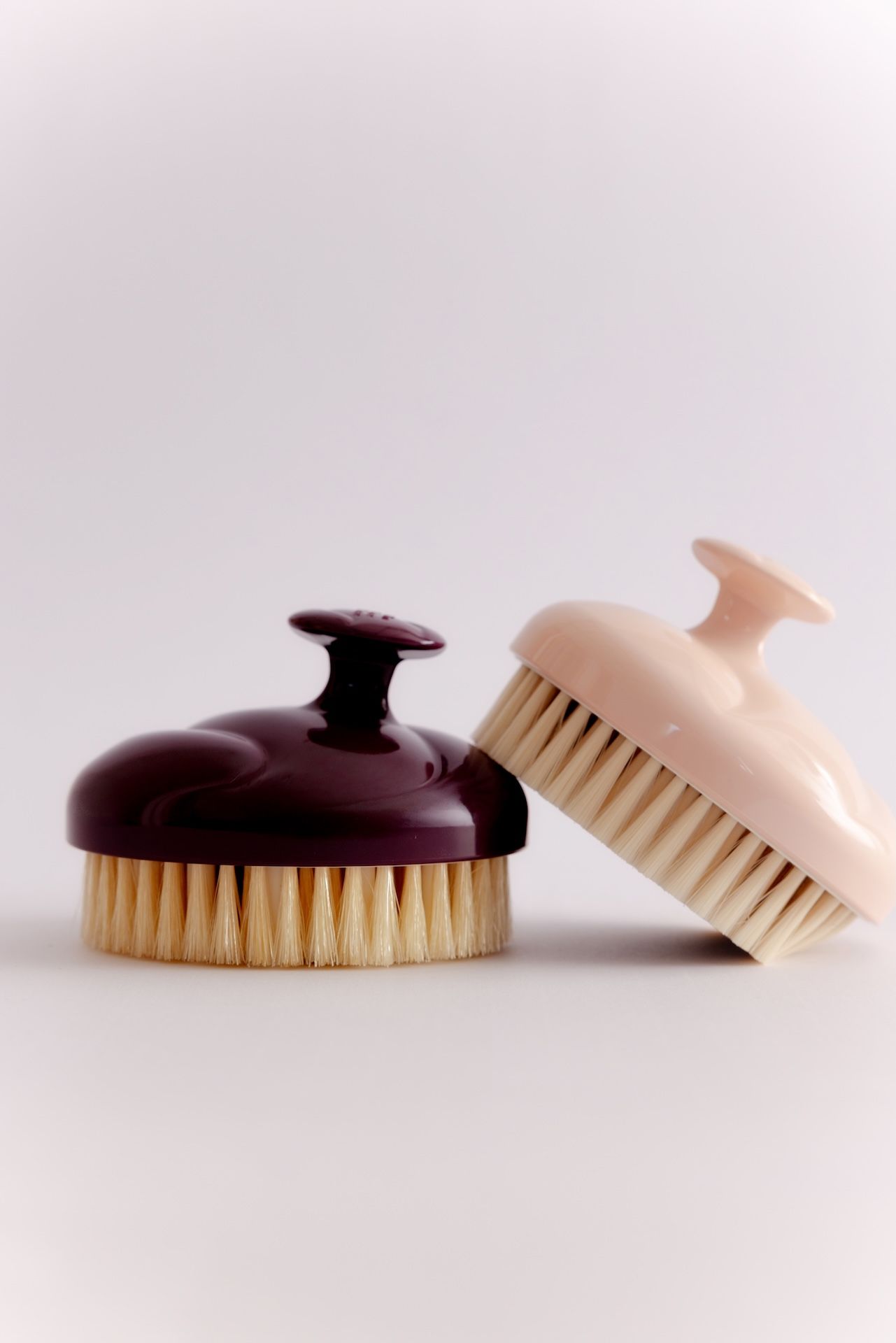 #seo: talm x the right brush