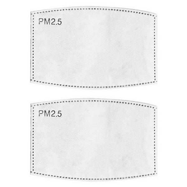 PM 2.5 Filter Inserts