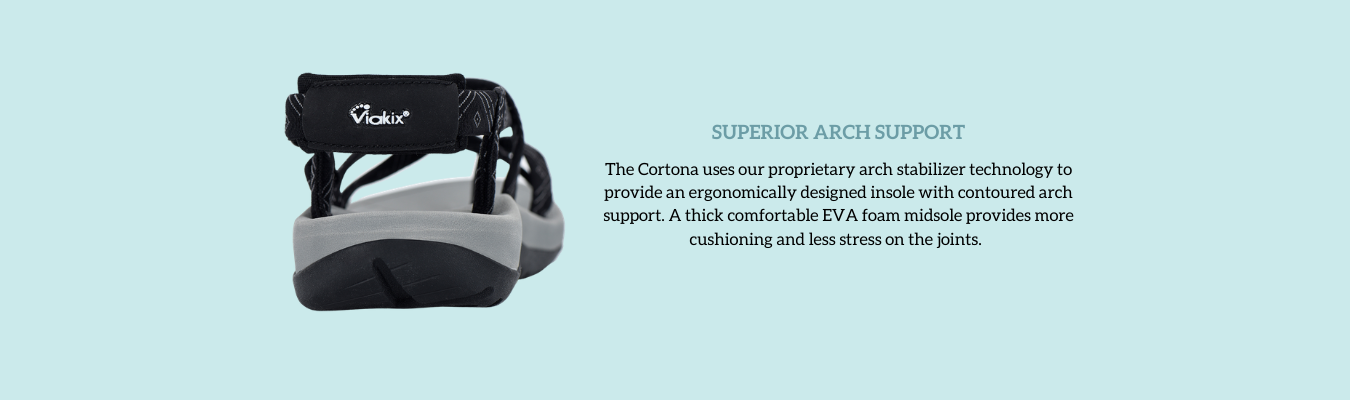 Graphic showing Superior Arch Support