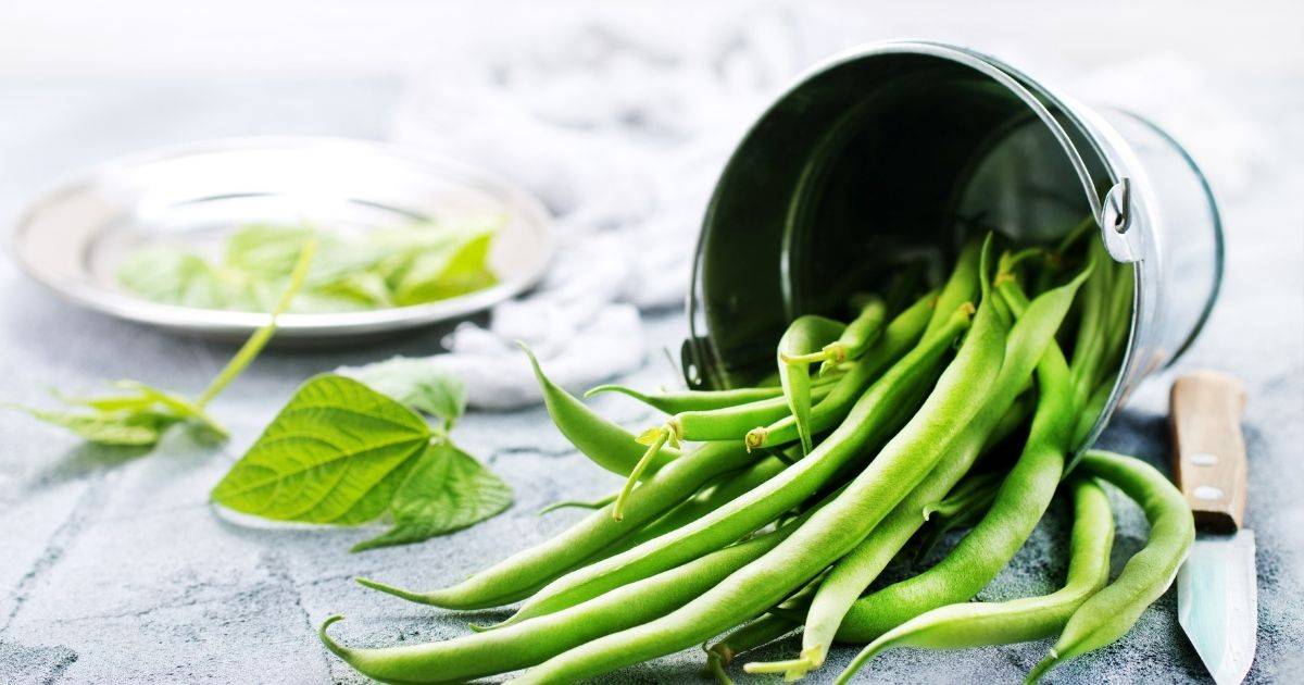green beens are safe vegetables for dogs