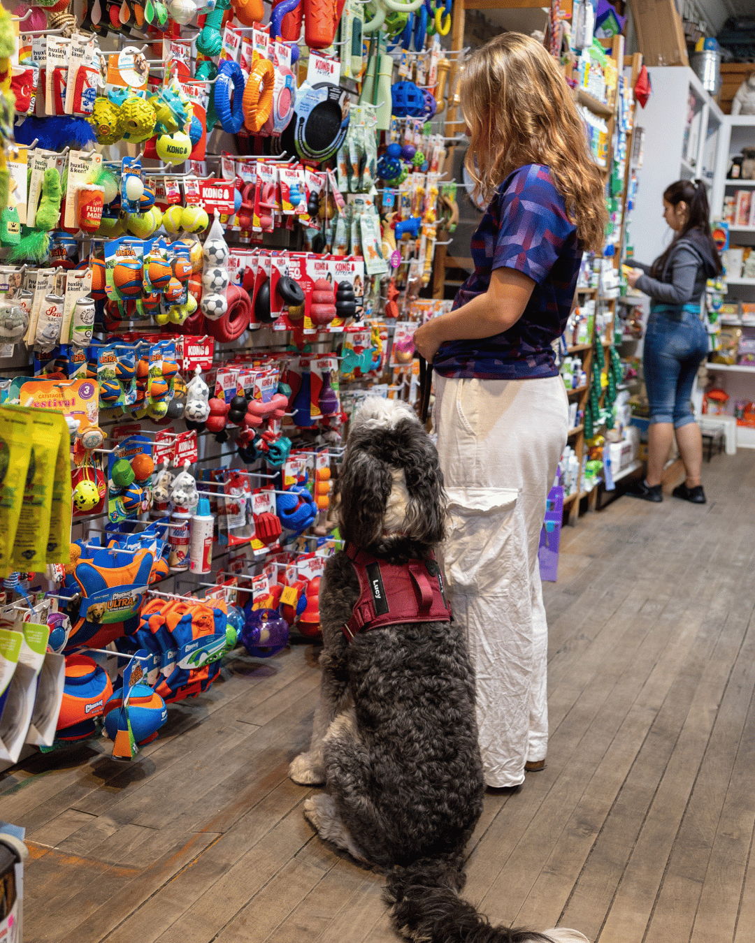 Person shopping for pet toys with a dog in a store.