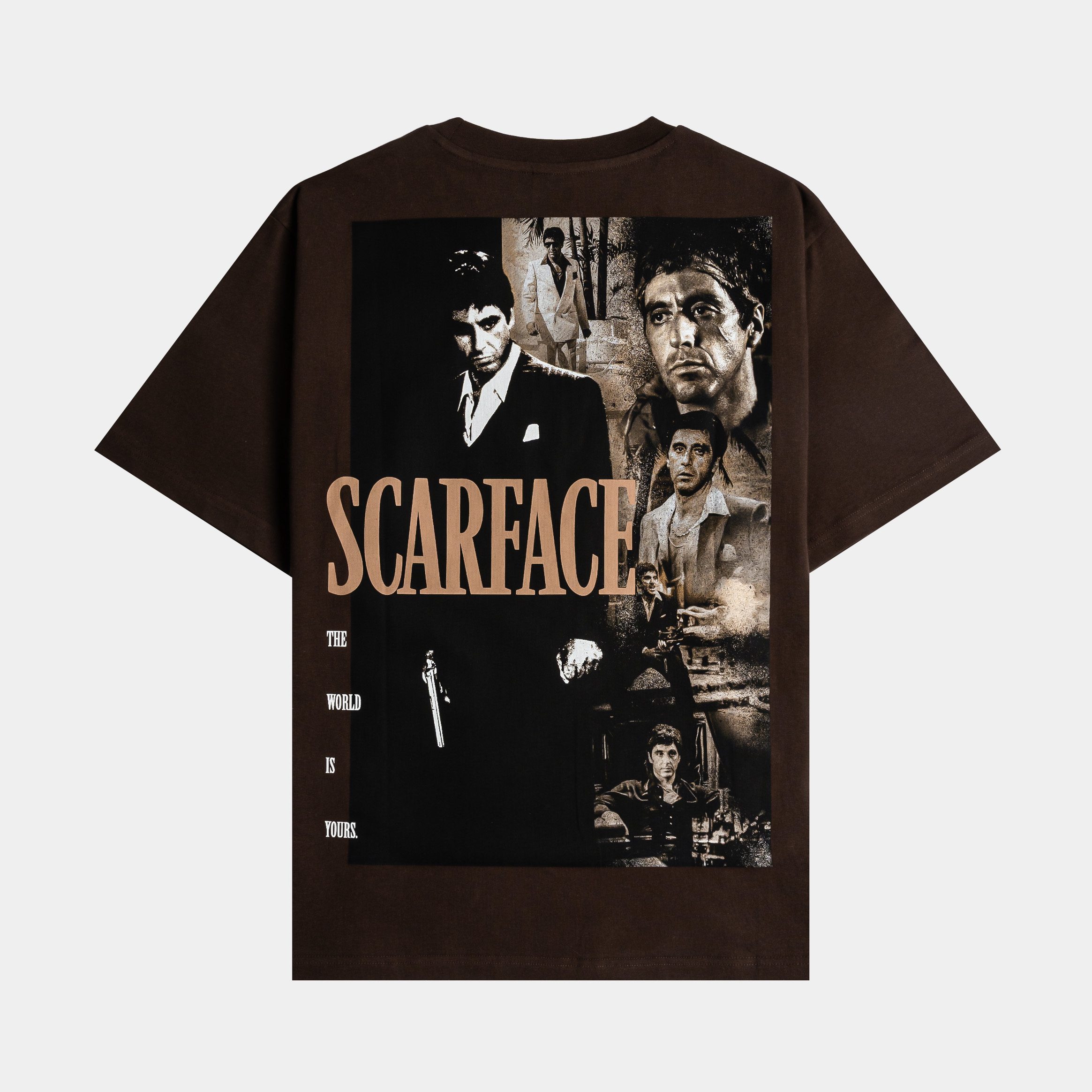 Brown t-shirt with 