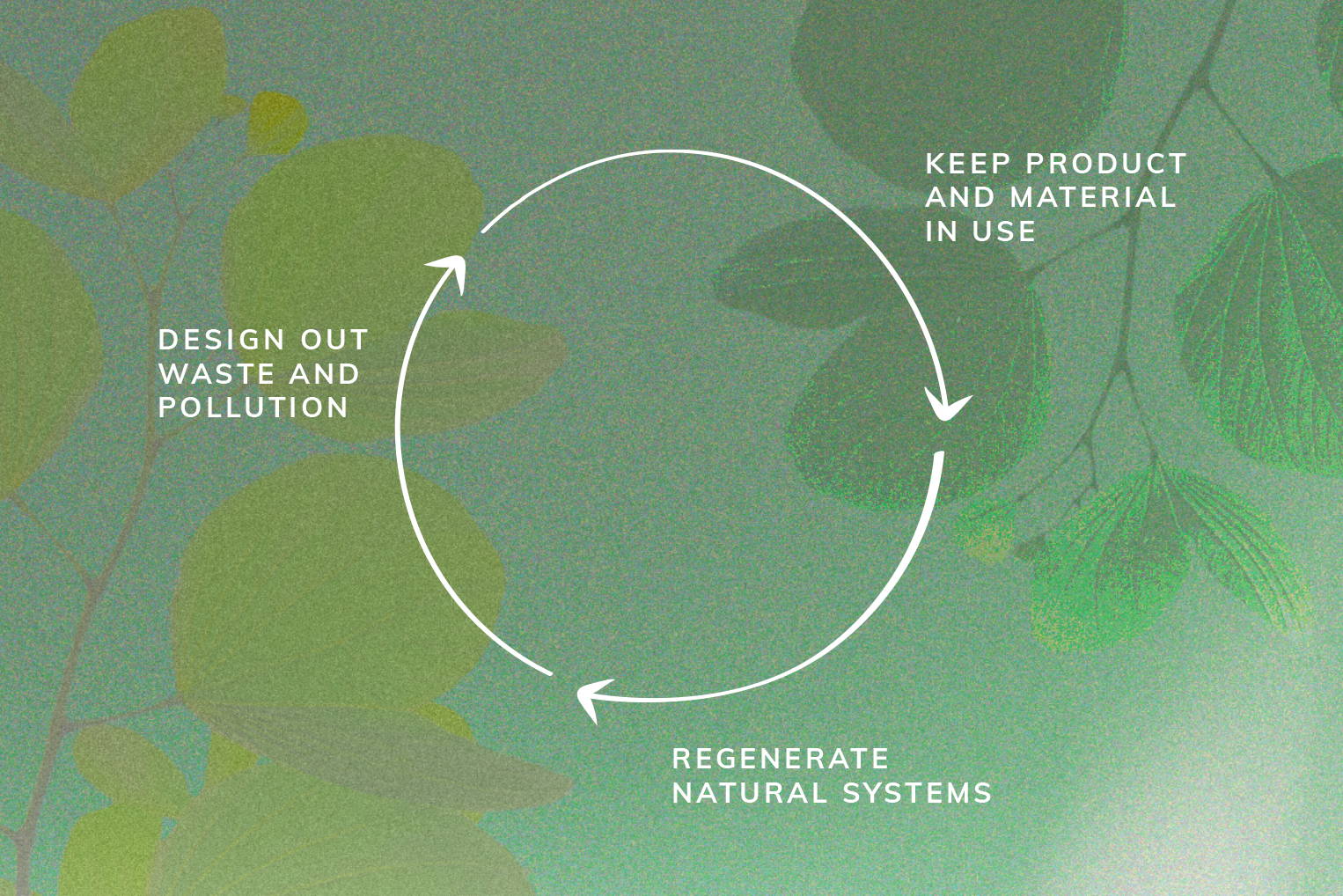 principals of the circular economy - sustainable organic loose leaf tea