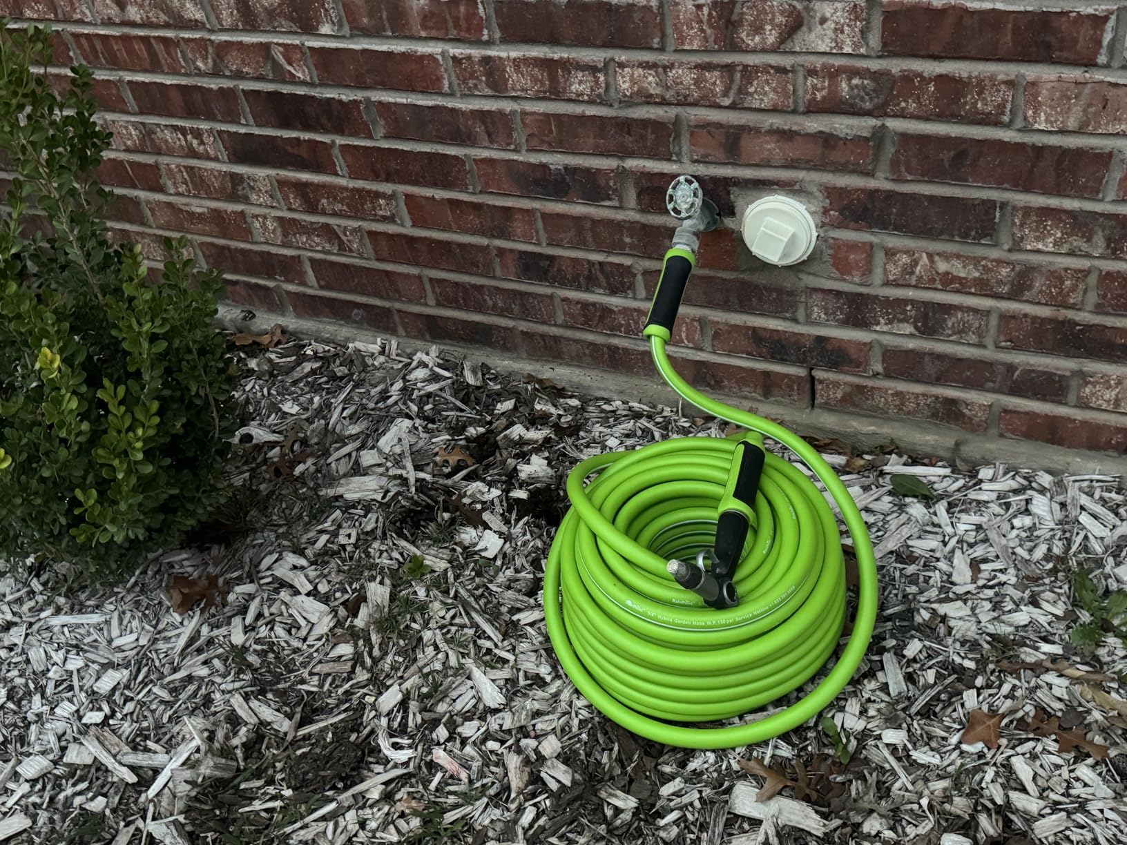 Green garden hose coiled on the ground next to a brick wall.