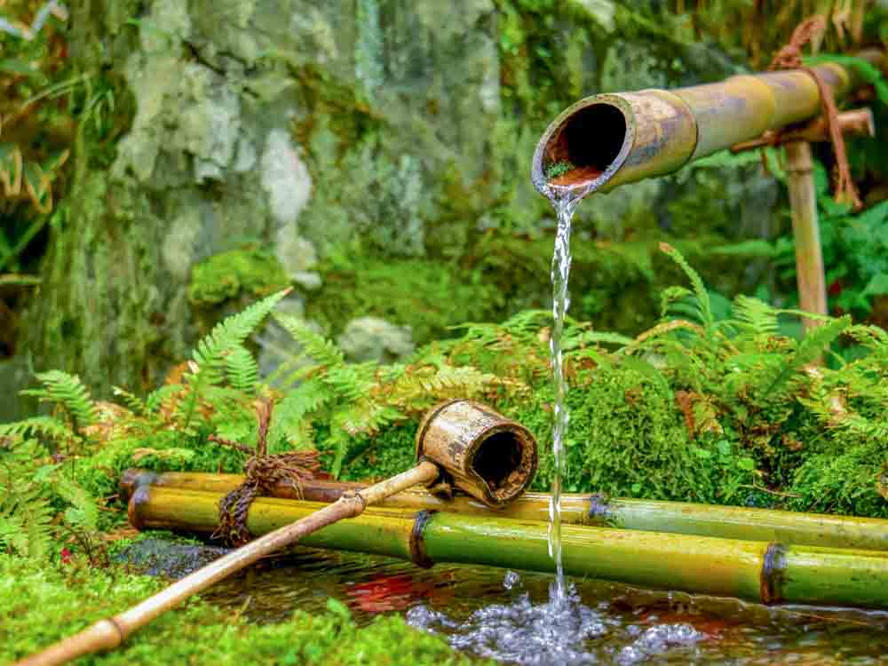 Bamboo fountain with water