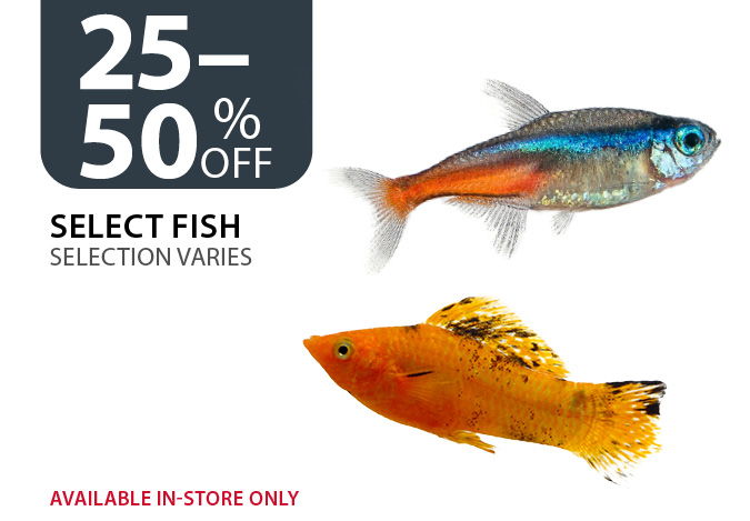 25%–50% Off Select Fish. Available in-store only.