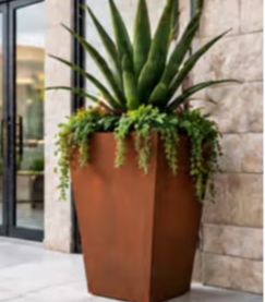 Tapered corten steel planter with succulents outside a commercial building